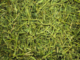 Friendly Alfalfa Readigrass