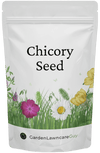 Garden Lawncare Guy Chicory Seed - Grow fresh year-round for rabbits, guinea pigs, tortoises & more