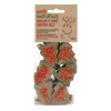 Dandelion 'n' Carrot Christmas Trees