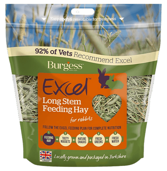 Burgess Excel Long Stem Feeding Hay Close Up of Hay