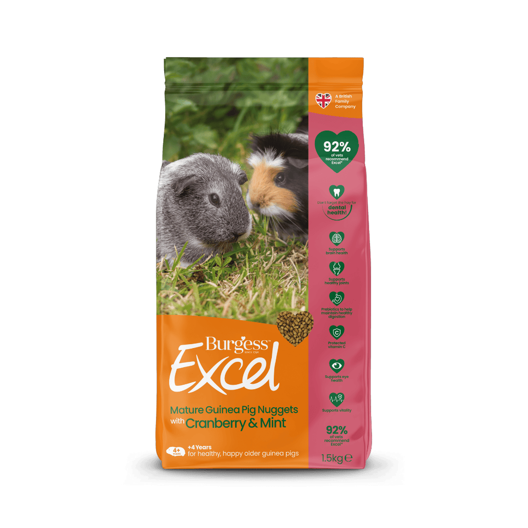 Excel Mature Guinea Pig Nuggets with Cranberry & Mint