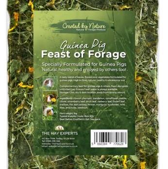 Image showcasing The Hay Experts - Feast of Forage for Guinea Pigs | Herbs & Treats ...