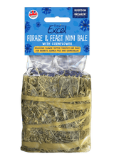 Burgess Excel Forage & Feast Hay Mini Bale - Cornflower | The Hay Experts