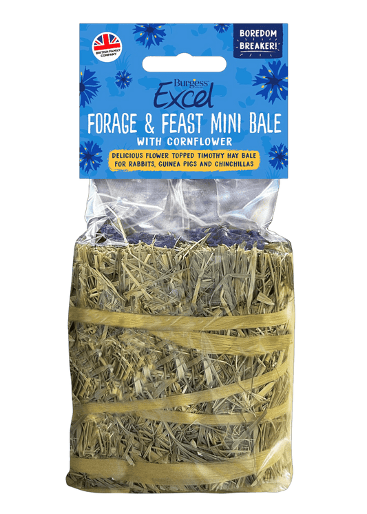 Burgess Excel Forage & Feast Hay Mini Bale - Cornflower | The Hay Experts