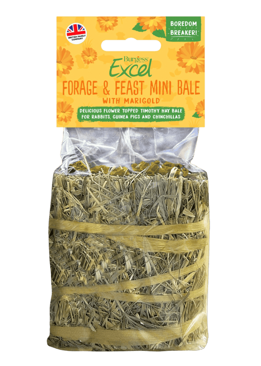 Burgess Excel Forage & Feast Hay Mini Bale with Marigold | The Hay Experts