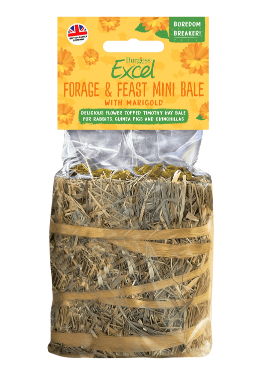 Excel Forage & Feast Hay Mini Bale from The Hay Experts