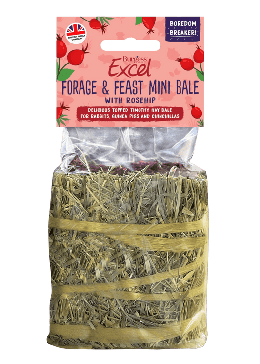Burgess Excel Forage & Feast Hay Mini Bale with Rosehip | The Hay Experts