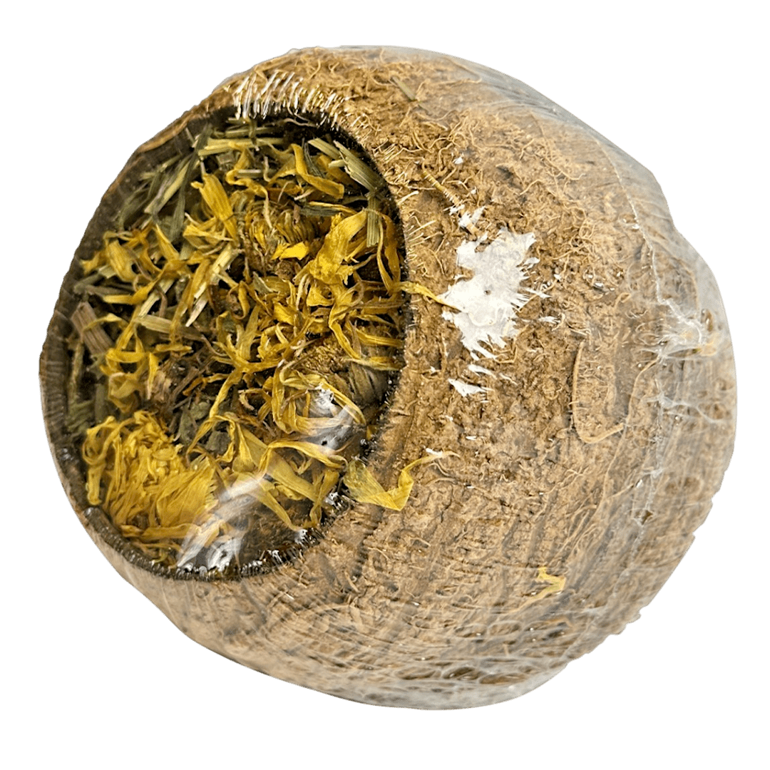 Forage Filled Coconut Shell