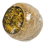 Forage Filled Coconut Shell