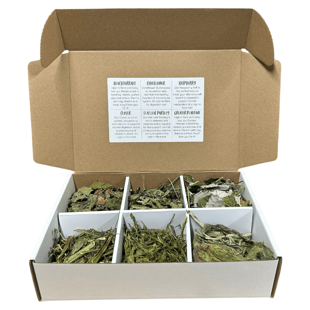 Herb Taster Box