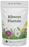 Garden Lawncare Guy Ribwort Plantain Seeds - Grow nutritious, fresh forage for rabbits, guinea pigs & more