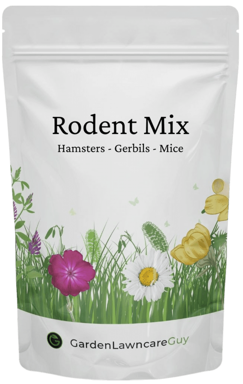 Rodent Seed Mix - Grow forage for Hamsters & others