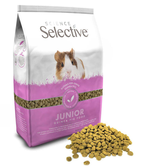 Science Selective Junior Guinea Pig