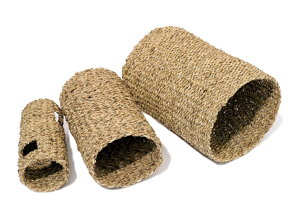 Seagrass Tunnel
