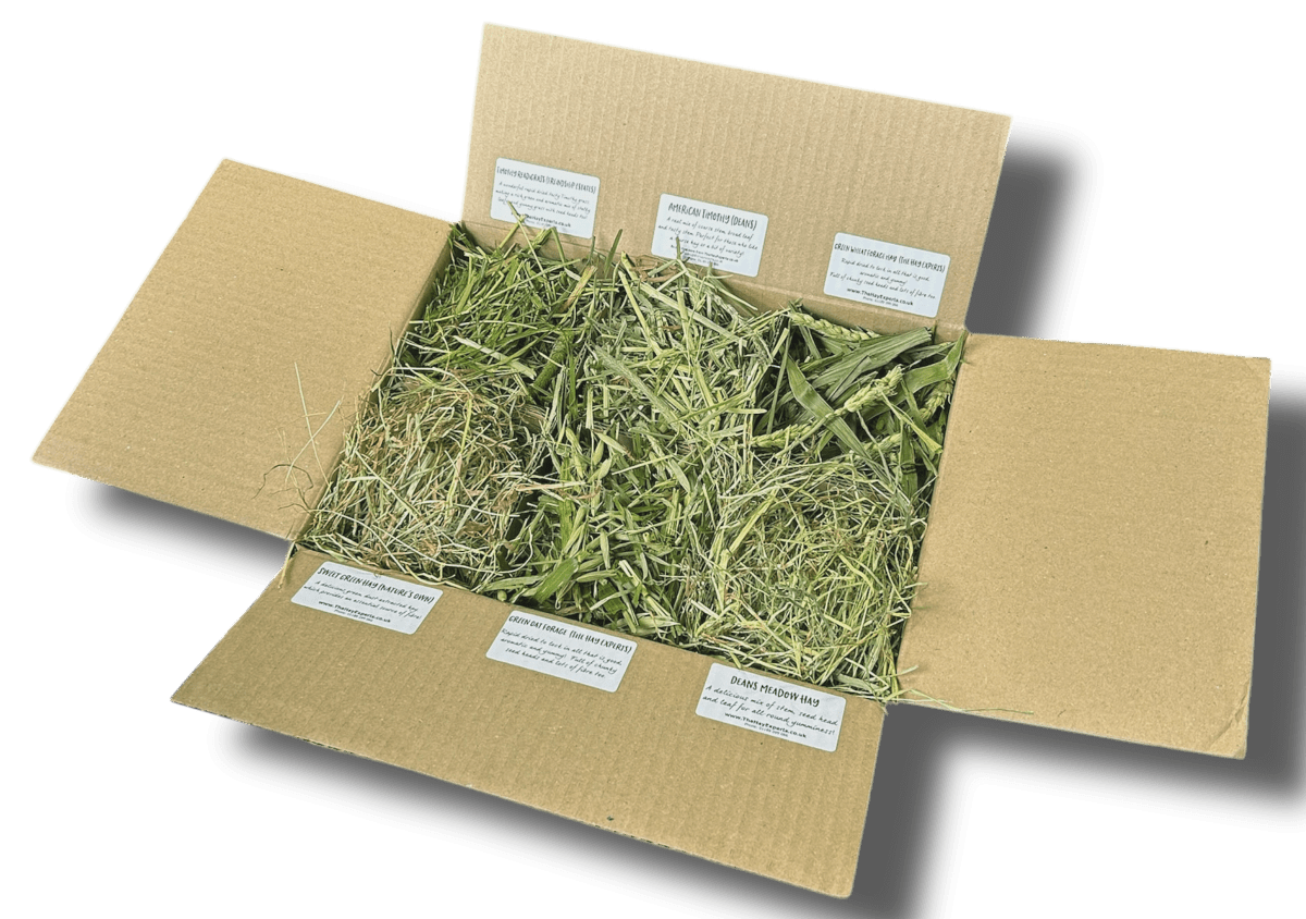 Hay Taster Box | Hays & Grasses | The Hay Experts