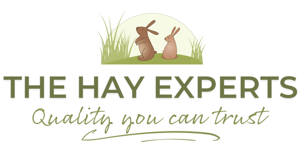 MSD Panacur Paste for Rabbits - for treating worms & E Cuniculi– The ...