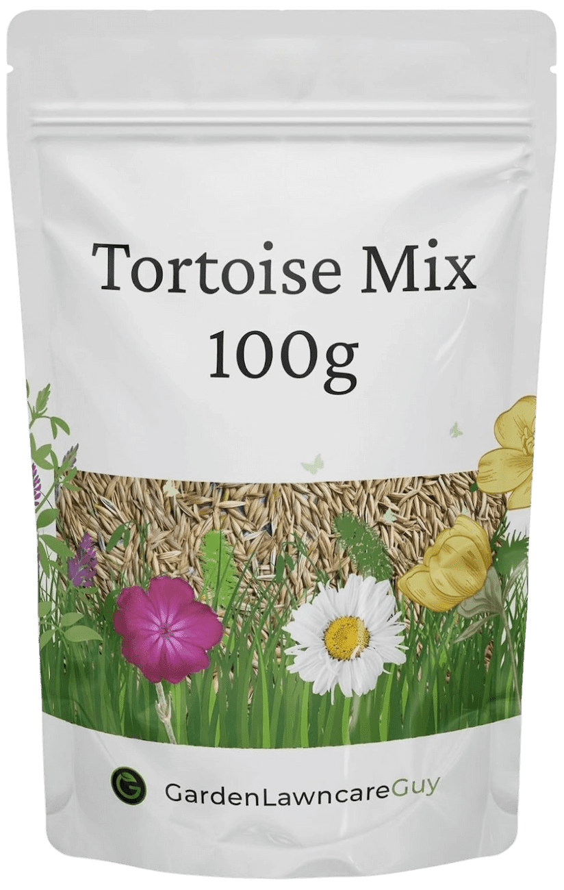 Tortoise Grass Seed and Forage Mix