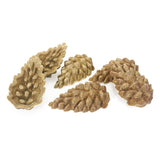 Veggie Burst Pinecones