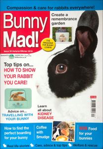 Bunny Mad Magazine (Final Edition)