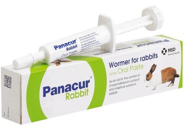 Panacur Rabbit