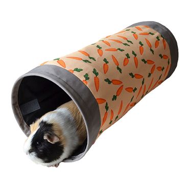 Carrot Fabric Tunnel