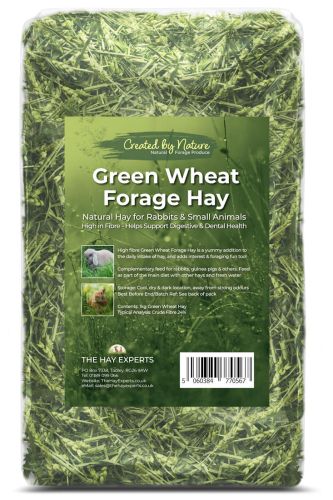 Green Wheat Forage Hay (The Hay Experts)