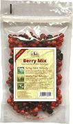 Berry Mix (Freeze Dried)
