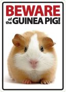 Beware of the Guinea Pig Sign