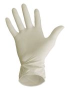Vinyl Gloves - Powder Free (10 Pack) Medium