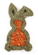 Carrot n Forage Bunny