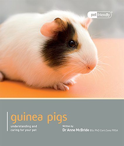 Guinea Pigs (Understanding & Caring for Your Pet)