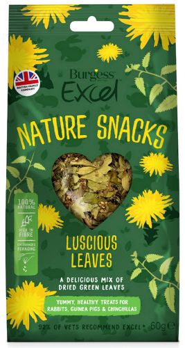 Excel Luscious Leaves