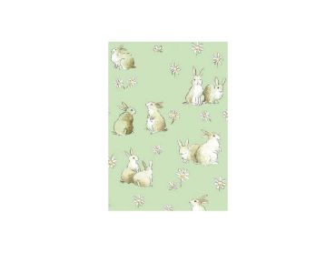 Bunnies & Daisies Gift Wrap