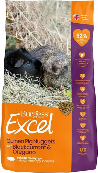 Excel Guinea Pig Blackcurrant & Oregano Nuggets