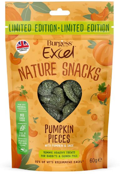 Excel Pumpkin Pieces - Limited Edition