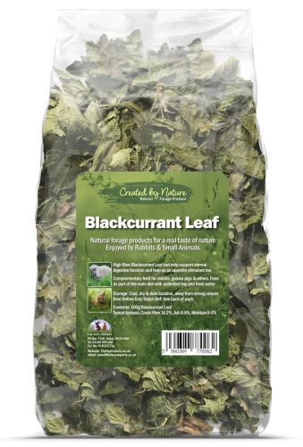 Blackcurrant Leaf (The Hay Experts)