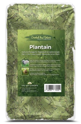 Plantain - The Hay Experts