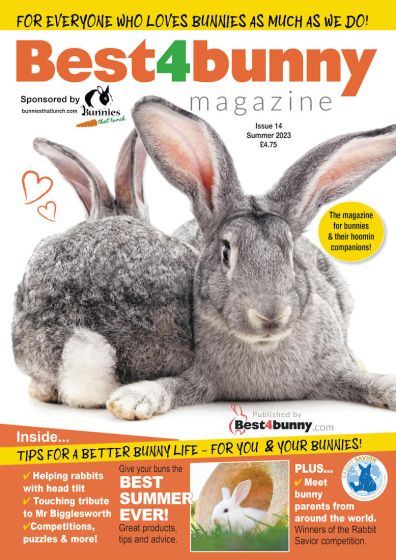 Best4Bunny Magazine - Summer 2023 - Issue 14