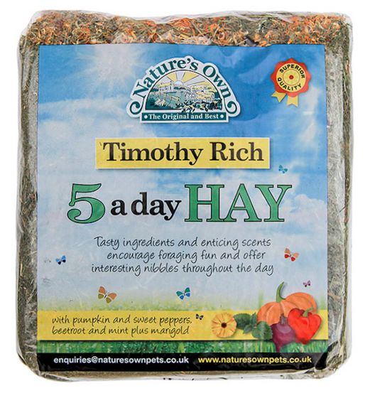 Timothy Rich 5 a Day Hay