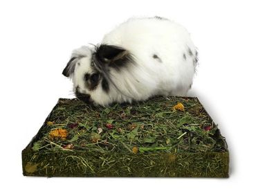 Nibble n Dig Meadow - bunny not included!
