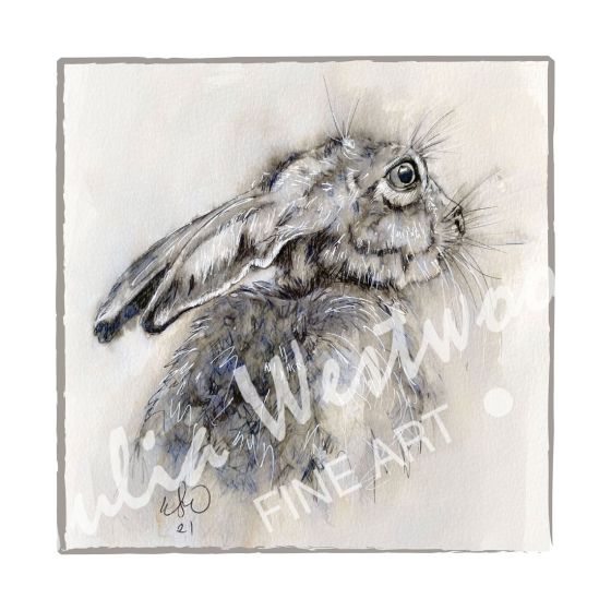 Hare (Light Border) - Greeting Card