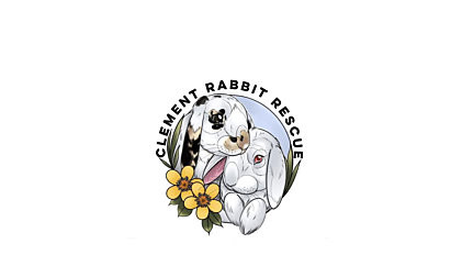 Clement Rabbit Rescue