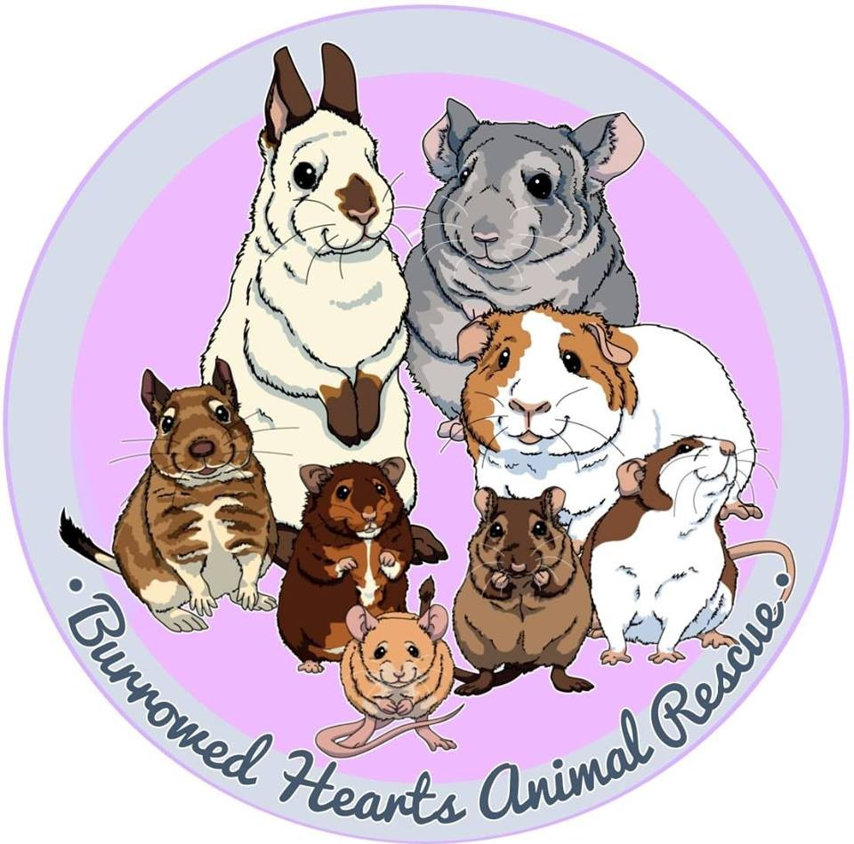 Burrowed Hearts Animal Rescue