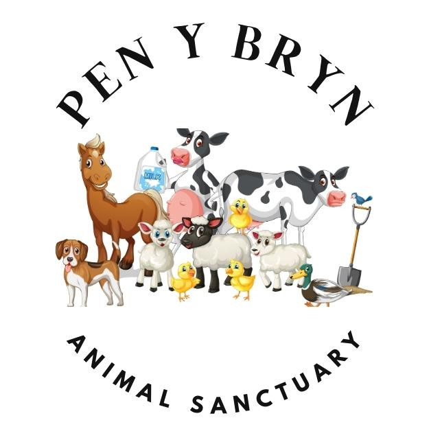 Pen Y Bryn Animal Sanctuary