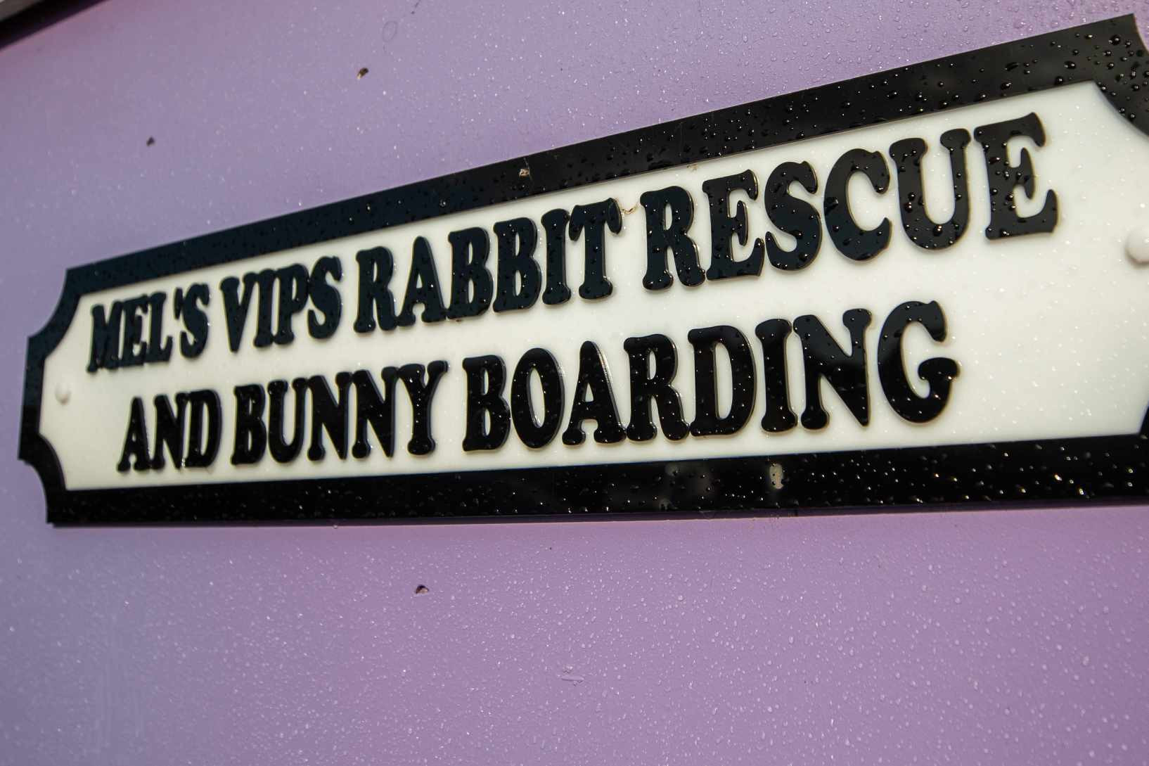Mel\'s VIP Rabbit Rescue