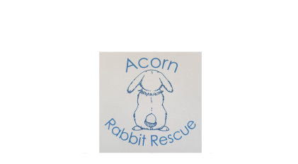 Acorn Rabbit Rescue