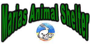 Marias Animal Shelter