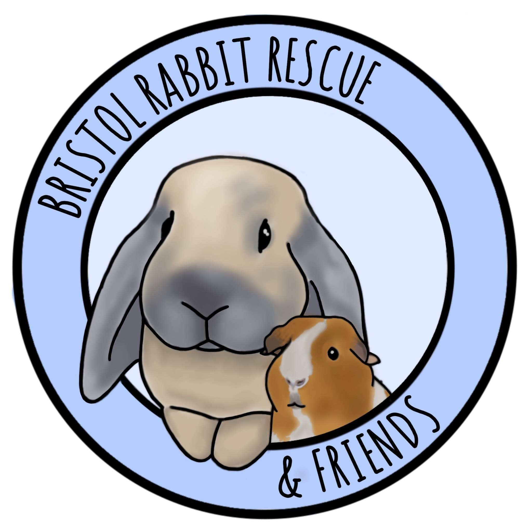 Bristol Rabbit Rescue And Friends 
