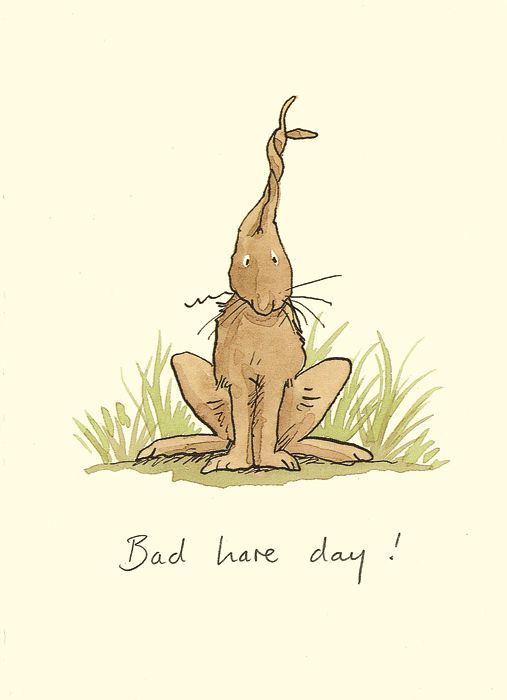 Bad Hare Day Greetings Card - Anita Jeram
